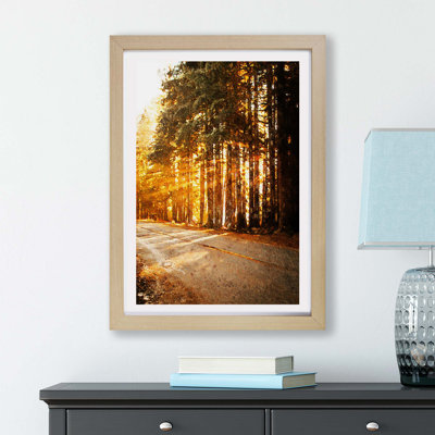 Sunlight through the Forest - Framed Print
