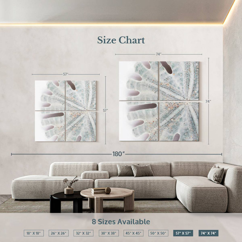 Brampt Florida Sand Dollar IV, 74'' H x 74'' W