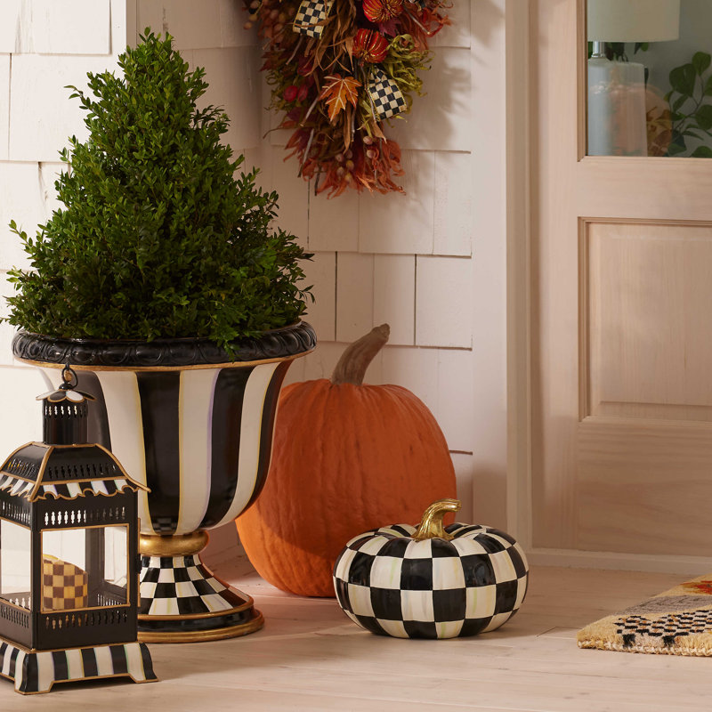 Courtly Check® Squashed Glossy Medium Pumpkin