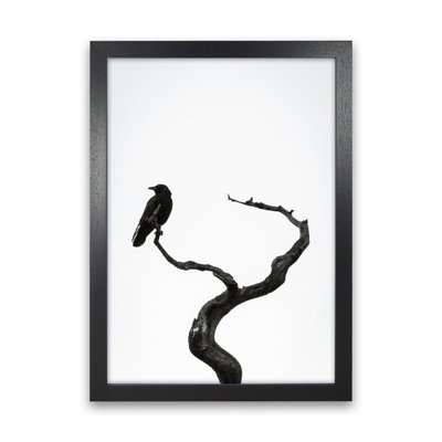 On The Look Out by Victoria Frost - Print