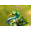 Alane Metal Birdbath