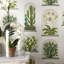Terrariums Wallpaper-50889026