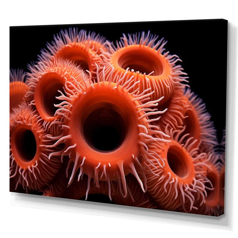 " Orange Giant Plumose Anemone ", 24" H x 32" W x 1" D, Wrapped Canvas