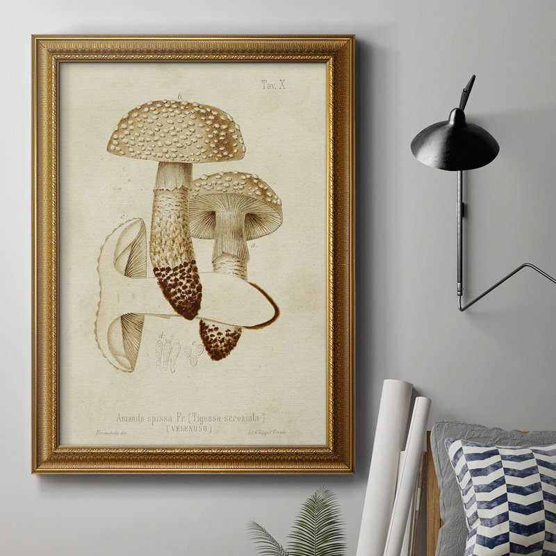Toile encadrée de qualité supérieure Mushroom Variétés, H 20 po x l 16 po x P 2,5 po