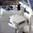 2 Pack Boat Seats Low Back Folding Boat Seats Fishing Boat Chairs With Thick Sponge Padding-1615827447