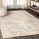 Mordecai Modern Tribal Medallion Gray/Ivory Rug