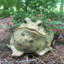 Pot à fleurs statue "Toad Hollow" Classic-1485330522