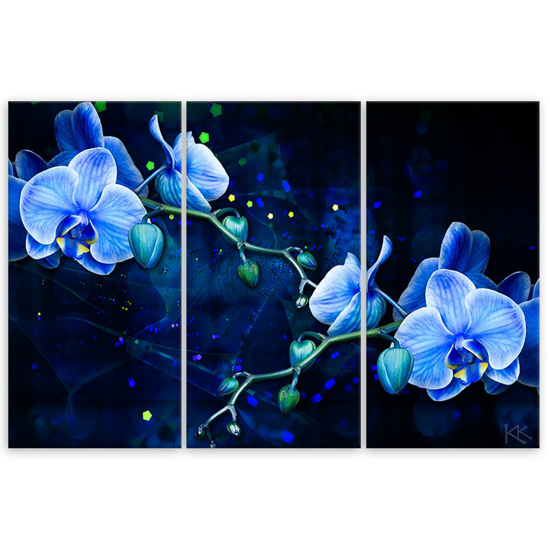 Blue Orchid Flower - 3 Piece No Frame Print on Canvas, 80cm H x 120cm W