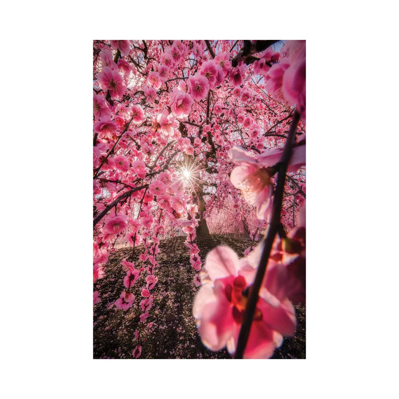 Spring In Japan XXIV by Daisuke Uematsu - Print on Canvas, Wrapped Canvas, 45.72cm H x 30.48cm W x 1.91cm D