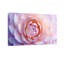 Plantes et fleurs, motif de fleurs rose pastel doux-508384-508189-508188