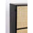 Guuji Accent Cabinet