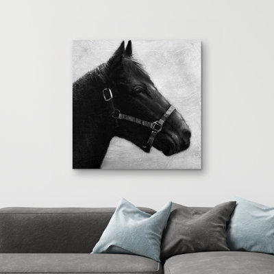 Gallopin the horse - 32"x32" art on canvas
