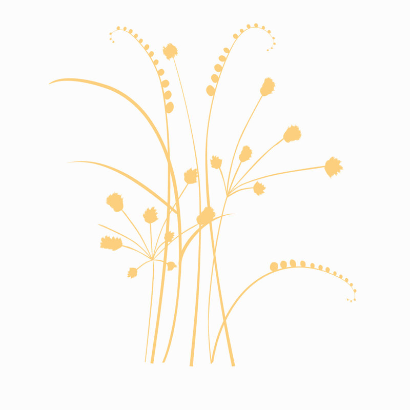 Adhésif décoratif herbes sauvages, Crème