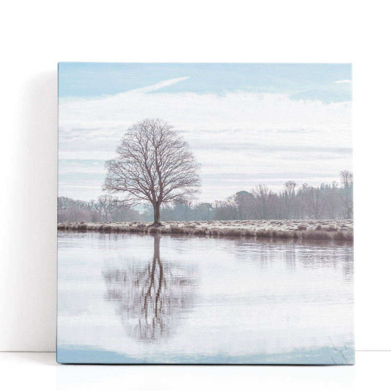 «Reflection of a Tree in a Pond», reproduction d'art sur toile, H 40 po x l 40 po