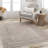 Haalah Oriental Indoor Rug-878483741