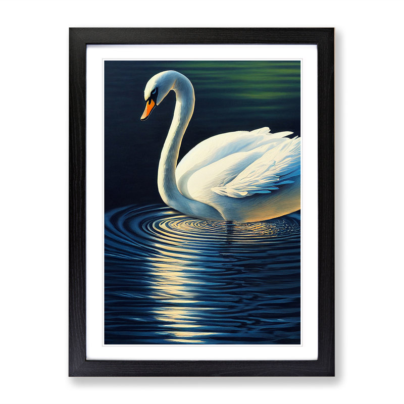 Swan in a Pond No.3 - Framed Print, Black Framed, 64cm H x 46cm W x 2cm D