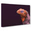 Red And Purple Iguana Lizard - Wrapped Canvas Print-55322342