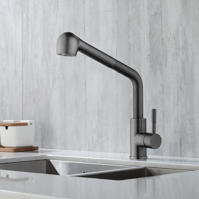 Rovogo Kitchen Faucet