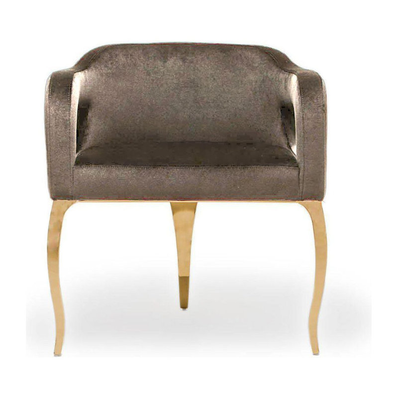 Iseminger 19'' H Velvet Upholstered Armchair, Titanium Golden, Taupe
