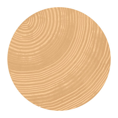 STEM Painting
