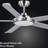 Arlette 60'' Outdoor Ceiling Fan with Light and Remote, Indoor Ceiling Fan with Light Kit, 6-Speed, 5-Blade, Quiet Reversible DC Motor - Brushed Nickel-1413361398-1413361396