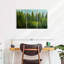 Alvord Lush Green Pine Trees-106052389