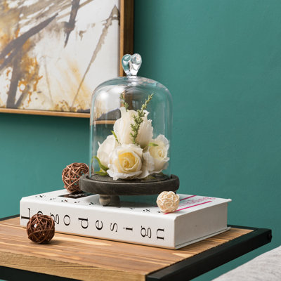 Mini Glass Dome Display Cloche