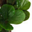 Faux Fiddle Leaf Fig Tree in Pot-945120771