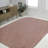 Longe Modern Minimalist Radius Corner Solid Light Rose Indoor/Outdoor Rug-14885318