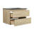 Defanski 30 Single Bathroom Vanity with Top