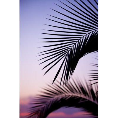 Palm Leaves by Photovideostock - Wrapped Canvas Print