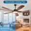 Ventilateur de plafond moderne à DEL 5 pales 62 pouces avec télécommande et lumière inclus