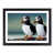 Black Framed selected