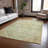 Machine Washable Indoor/Outdoor Xhevrie Sage Rug-2012240398