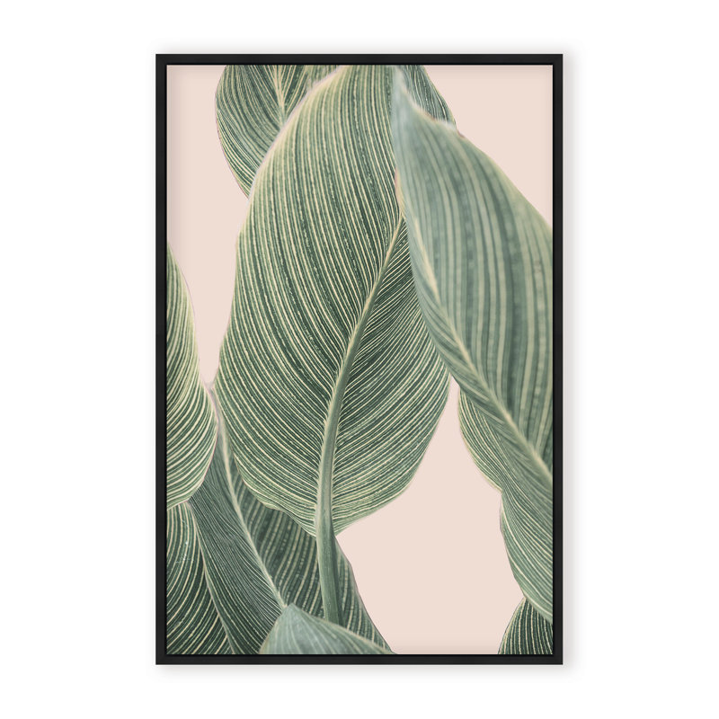 Coastal Retreat Calla Leaf by  - Picture Frame Graphic Art on Paper, Framed Canvas, Brown, 48" H x 32" W x 2.375" D