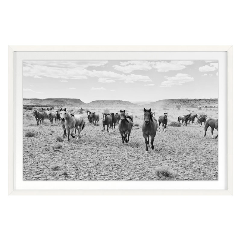 Remuda B&W Print by Jean Cornell, 20" H x 30" W, White Framed