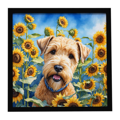 Wheaten Terrier in Sunflowers Framed Metal Print