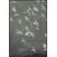Flight 1 Print by Thom Filicia