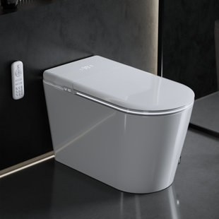 Smart Toilet