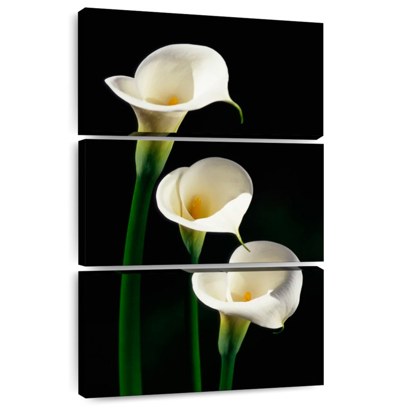 Harnek Three White Calla Lilies, 32" H x 20" W