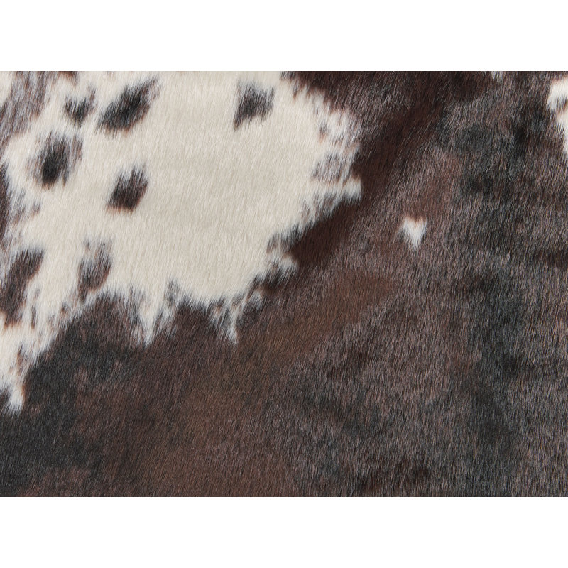 Schuykill Animal Print Area Rug, Novelty 150 x 200cm