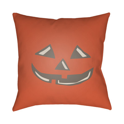  Indoor/Outdoor Throw Pillow