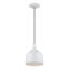 Luminaire suspendu Catrinia-121436244