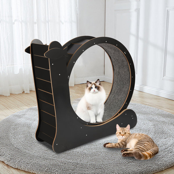 Tucker Murphy Pet™ Covello 40.1'' Cat Running Wheel Treadmill