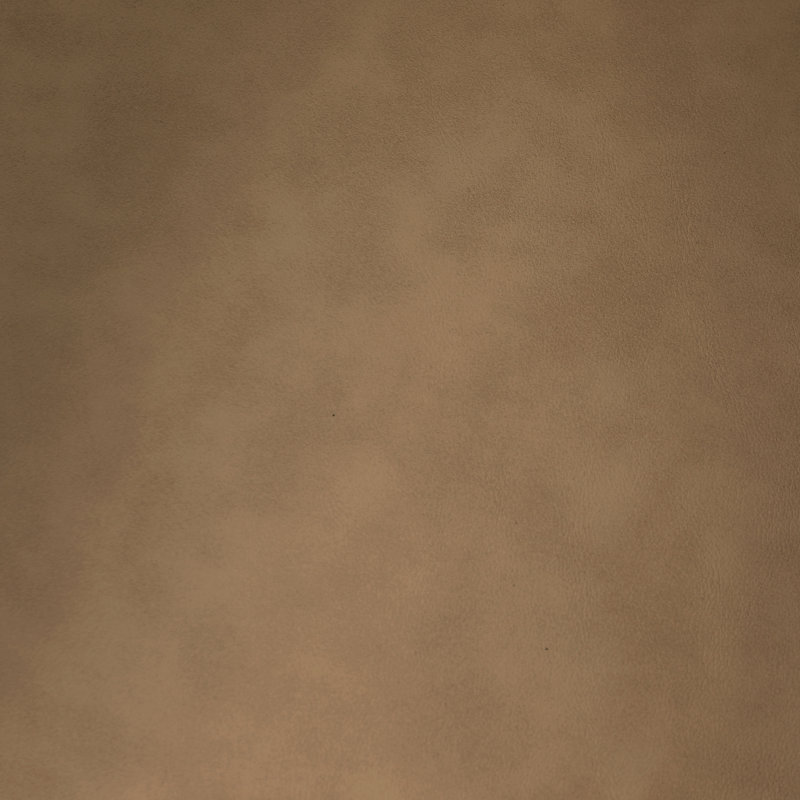 Vedehi Vegan Leather Dining Chair, Tan Vegan Leather