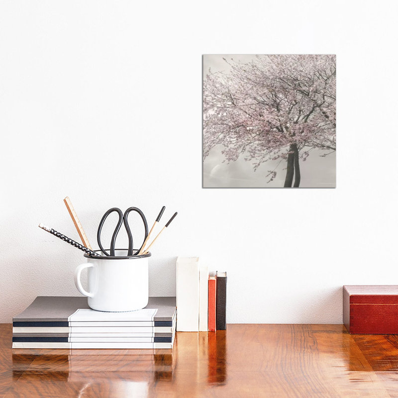 Blush In The Wind II by Irene Weisz - Wrapped Canvas Print, 30.48 cm H x 30.48 cm W