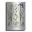 «Orchids» par Art Licensing Studio, art mural en métal de luxe, 24 po x 36 po-117052997