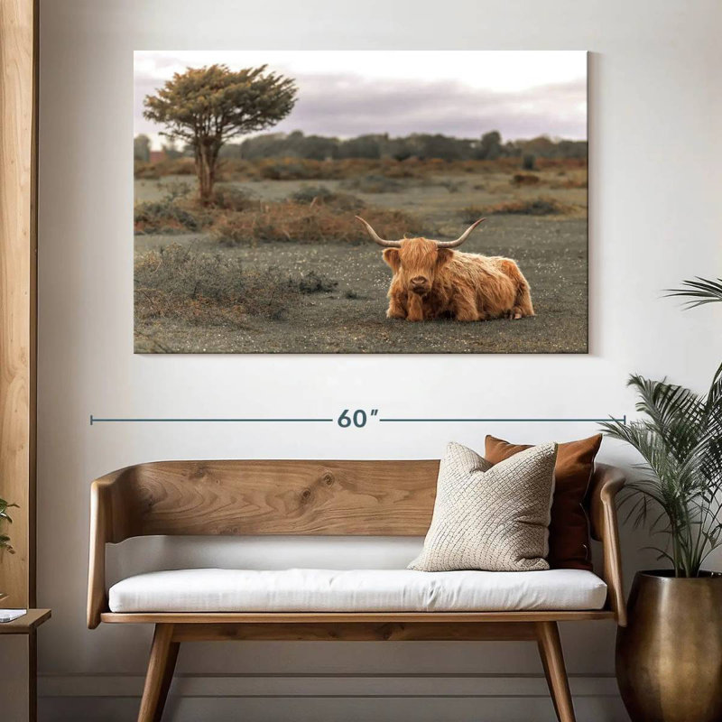 Brown Highland Cow II, 34" H x 51" W