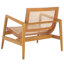 Braya Rattan Accent Chair-1981679213