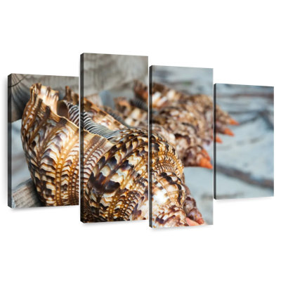 Coquillages